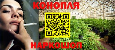 спайс Малгобек